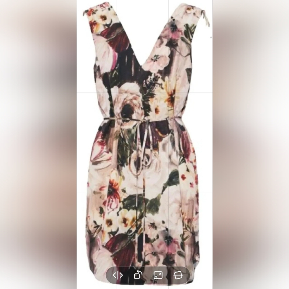 Haute Hippie Floral V Neck Mini Dress Cream & Pink Size XS (Excellent condition)
